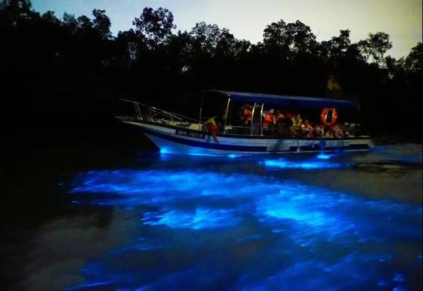 PrivateFireflies, Blue tears & Batu Caves private day tour from Kuala Lumpur (2-4 adult)