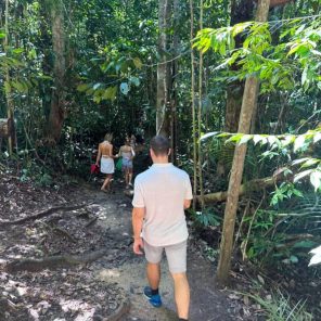 Taman Negara Private National Park Day Tour from Kuala Lumpur